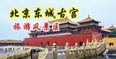 艹逼视频网站插逼喷水国产中国北京-东城古宫旅游风景区